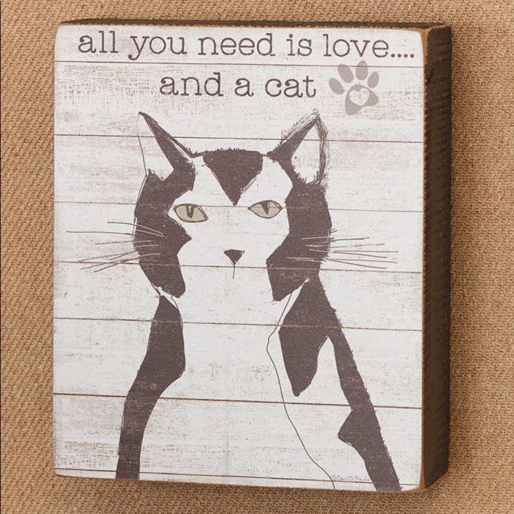 🆕🐈‍⬛Cat Pet Lover